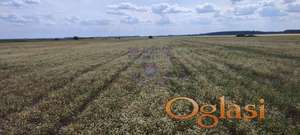 Plac sa odličnom pozicijom u Elemiru